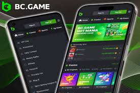 Discover the Exciting Features of the BC.Game Mobile App -881567263