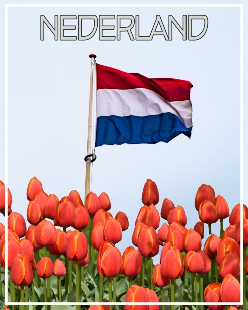 Glashandel Sneek Kwaliteit en Service in Sneek en Omgeving