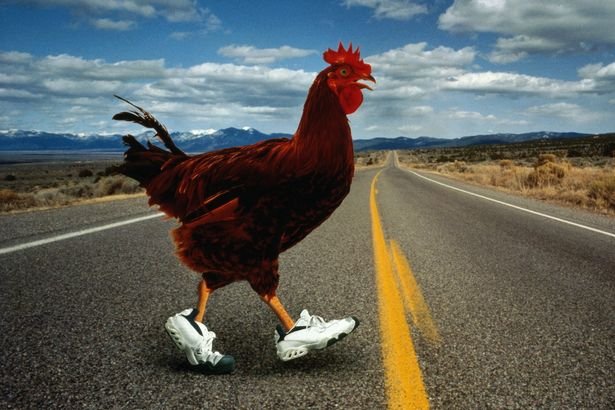 Romania - chicken road slot