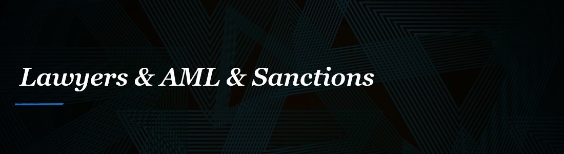 Comprehensive Sanctions Legal Services for Businesses and Individuals