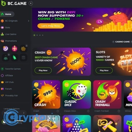 BC.Game Registration Process Your Guide to Getting Started