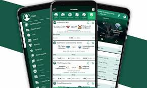 BetWinner Gambling Platform A Comprehensive Guide