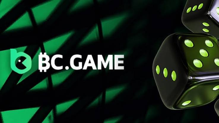 Everything You Need to Know About BC.Game Bonus Codes