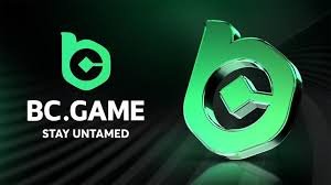 The Ultimate Guide to BC.Game Login Process
