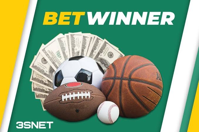 Exploring the BetWinner Gambling Platform A Comprehensive Review